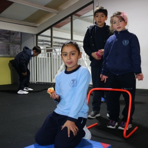 Día de la Actividad Física